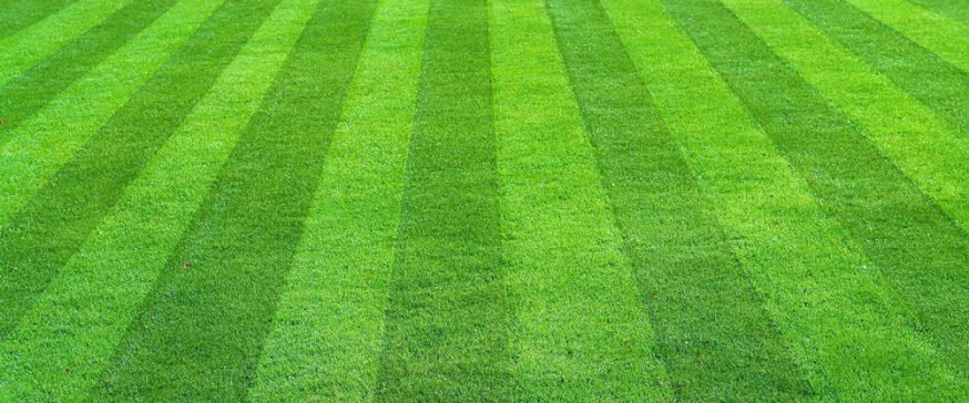 lawn mowed with stripes