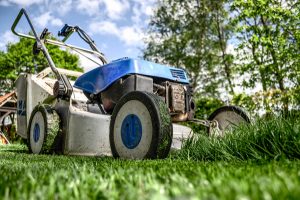 Lawn mower, cutting grass short is a garden maintenance myth