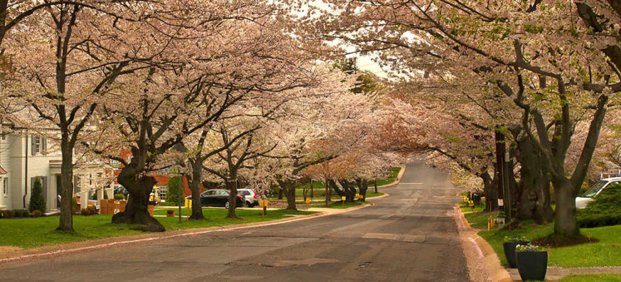 Downtown Bethesda Maryland in suburban Washington DC.