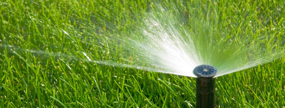 thrive in heat with in ground sprinkler lawn irrigation system