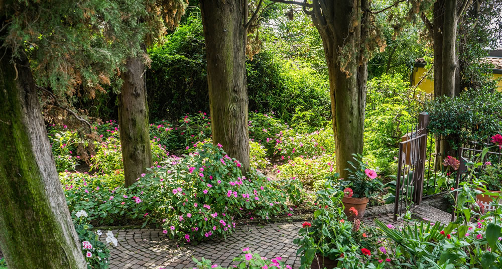 energy efficient landscape design: shaded garden with paver path