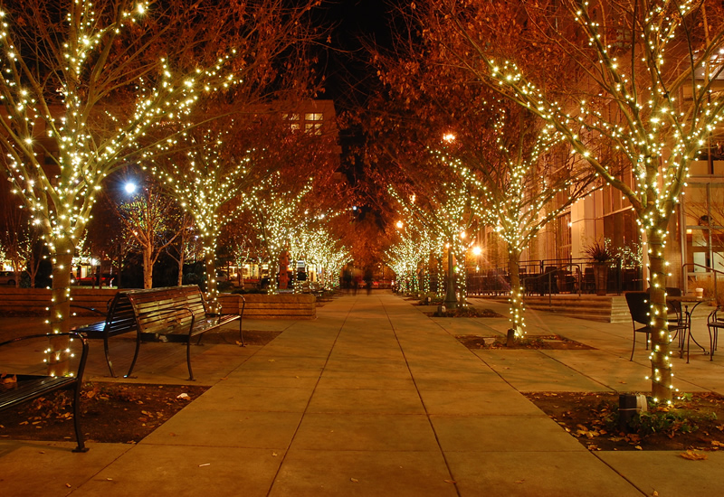  Holiday  Decorating  Service Christmas  Light Installation  