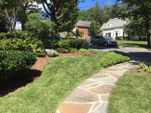 Kensington Residence Landscaping Project by Rasevic Landscape Company in Bethesda, MD