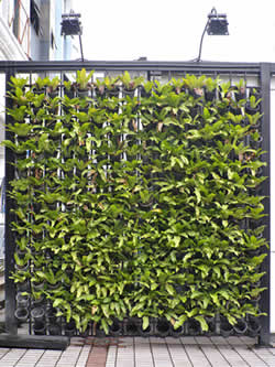 Living Wall Retaining Wall