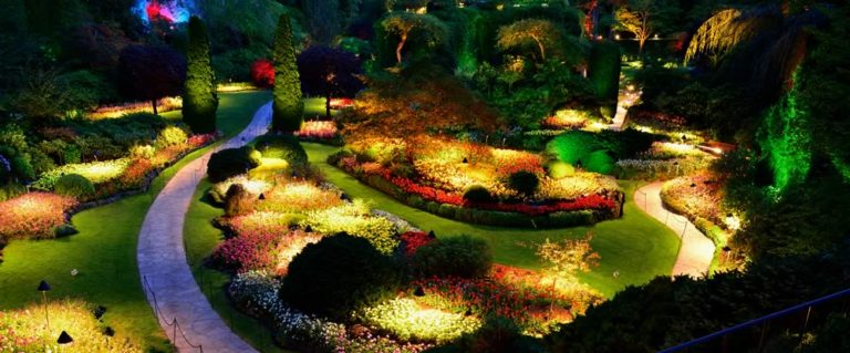 5 Incredible Benefits of Landscape Lighting & Garden Lights