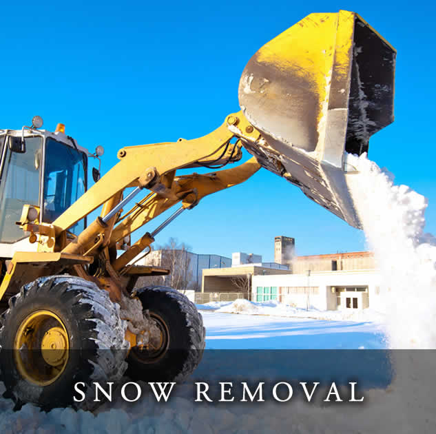 Rasevic Snow Services, Inc. - Snow Removal Services