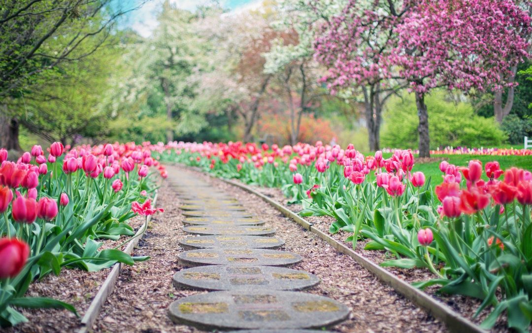 The Importance of Professional Landscape Design