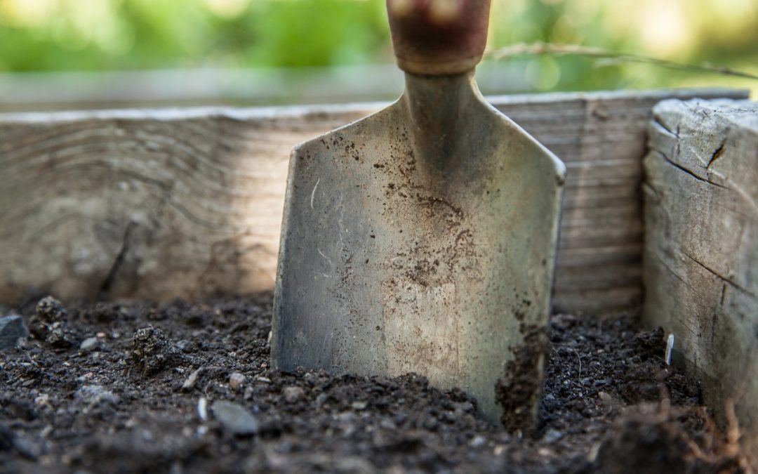 How to tell when it’s time for a landscaping renovation