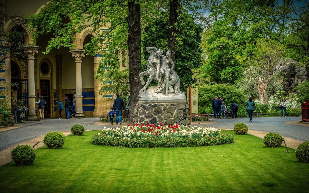 Increasing Curb Appeal with Professional Landscaping Services