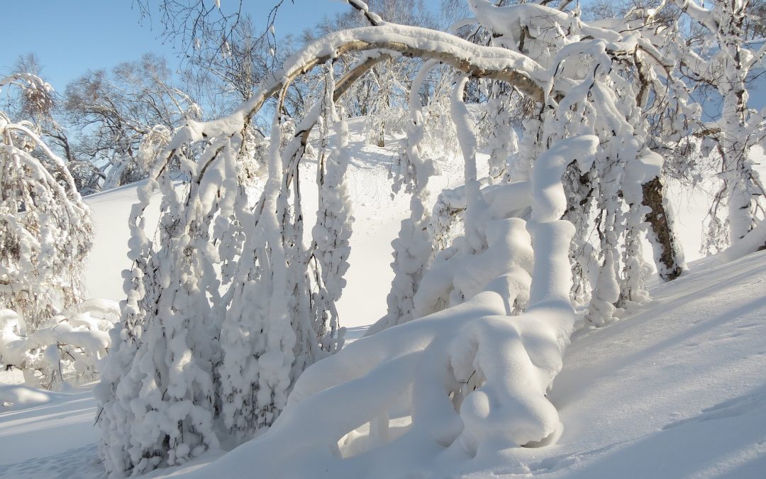 How to secure the best snow removal contract in Montgomery County, MD