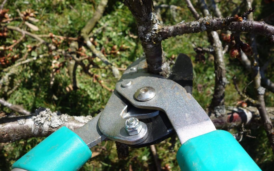 How to prepare for winter – A guide for Mid-Atlantic homeowners