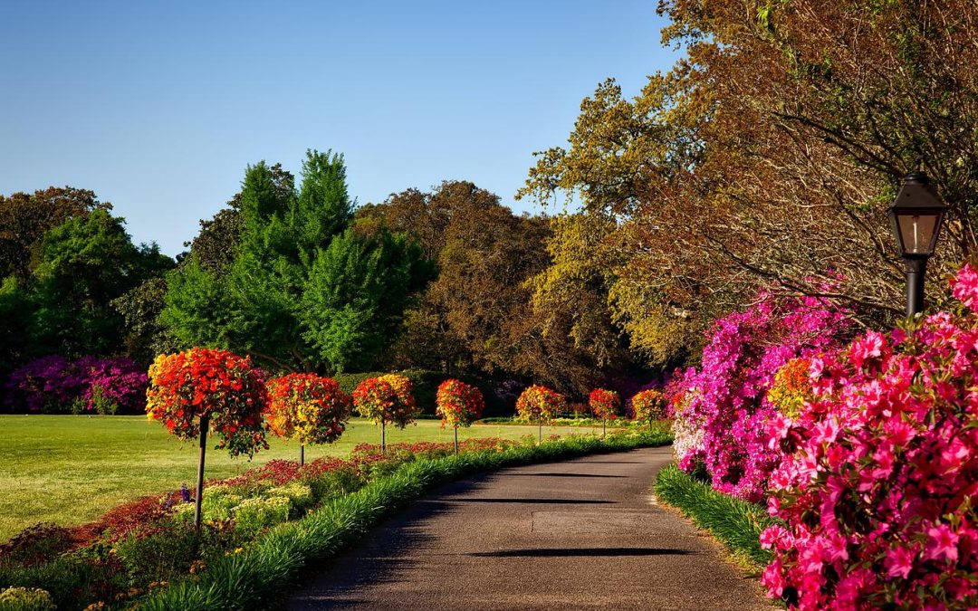 10 Tips to Prepare Washington DC & Bethesda, MA Gardens for Fall