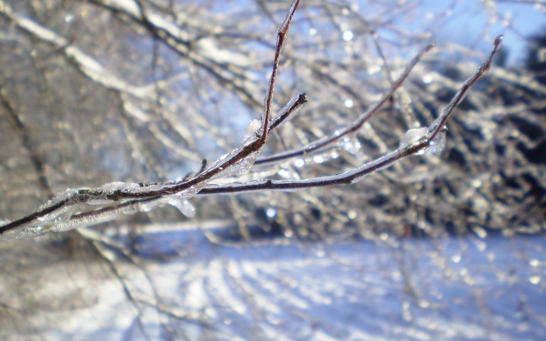 Winter 2022-2023 Long-Term Forecast Prediction