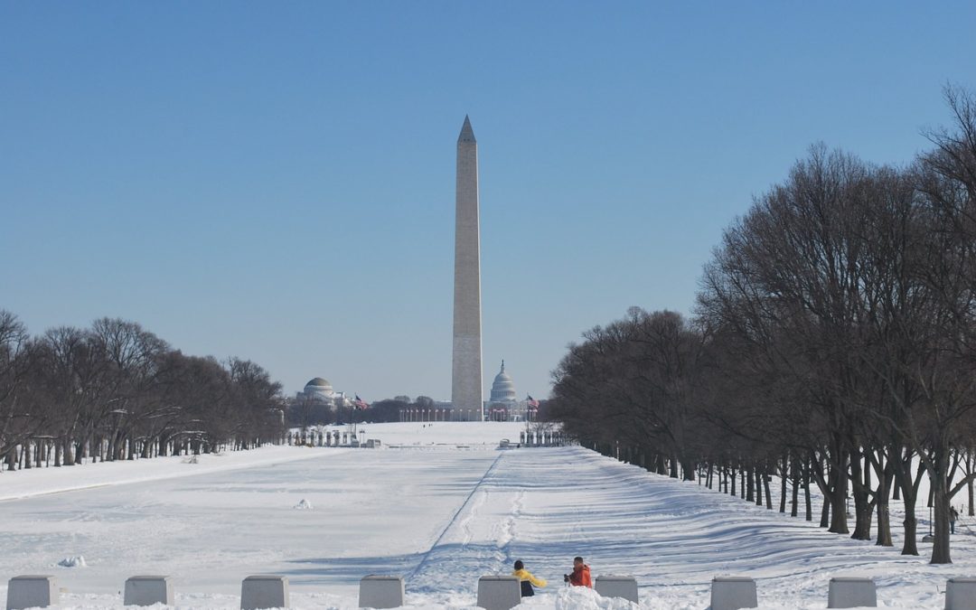 Best Government Facility Snow Removal Services in Washington DC