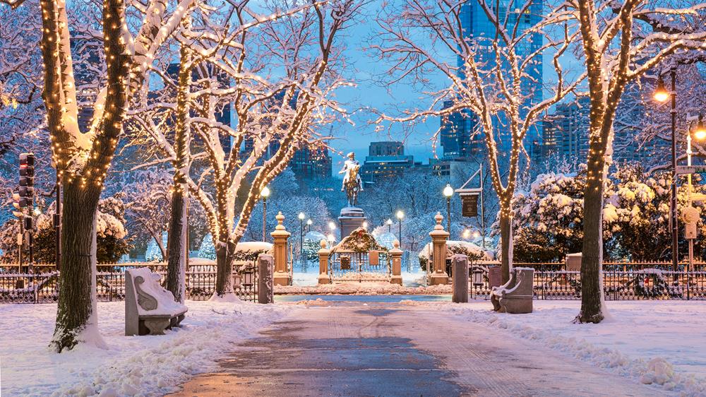 Trends in commercial holiday decorating services