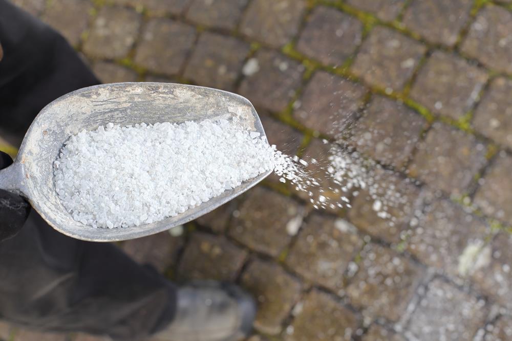 Tips for Managing Snow Removal