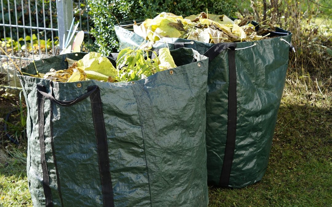 Spring Gardening Tips in Washington DC
