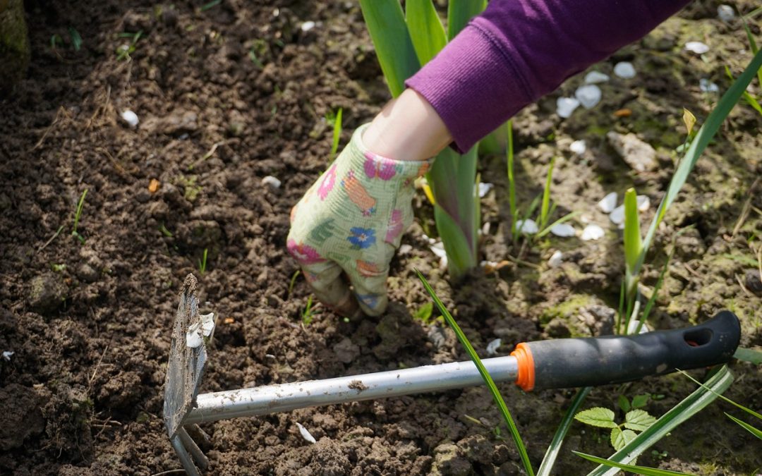 Landscaping Maintenance for Mid-Atlantic Property Managers