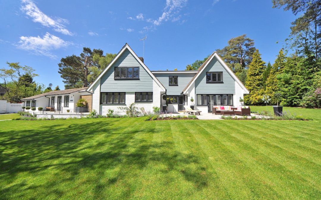 Transform Your Alexandria, Virginia Home with Professional Lawn Services