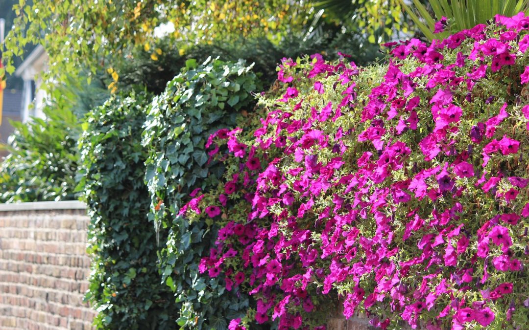 5 Creative Ideas for Landscaping a Retaining Wall