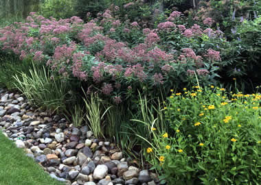 Rasevic-Garden-Maintenance