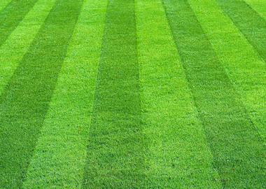 lawn-mowed-stripes-1