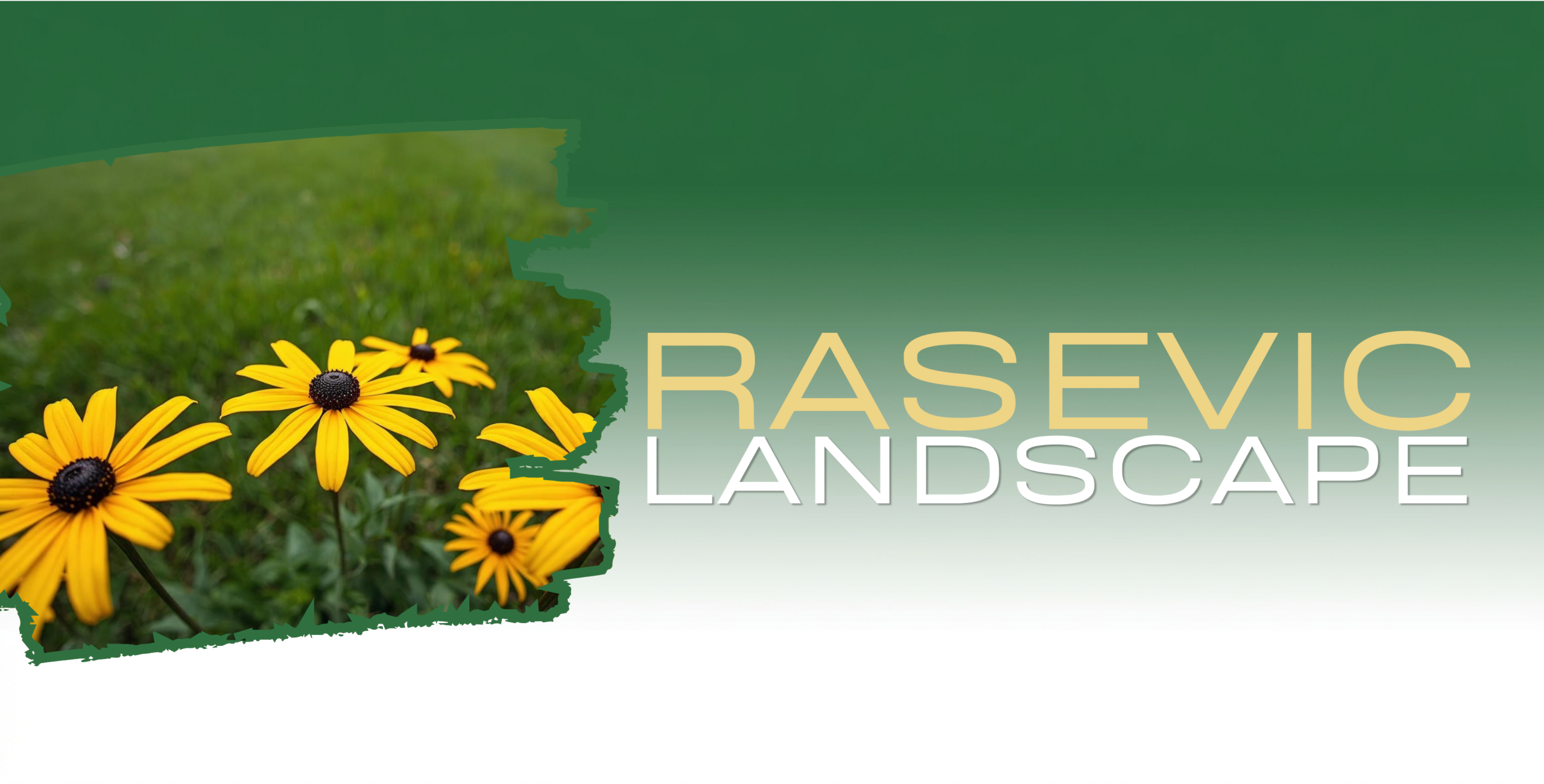 bes-header-scaled