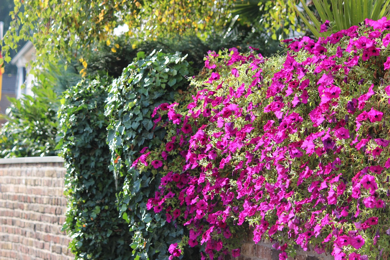 retaining-wall-garden