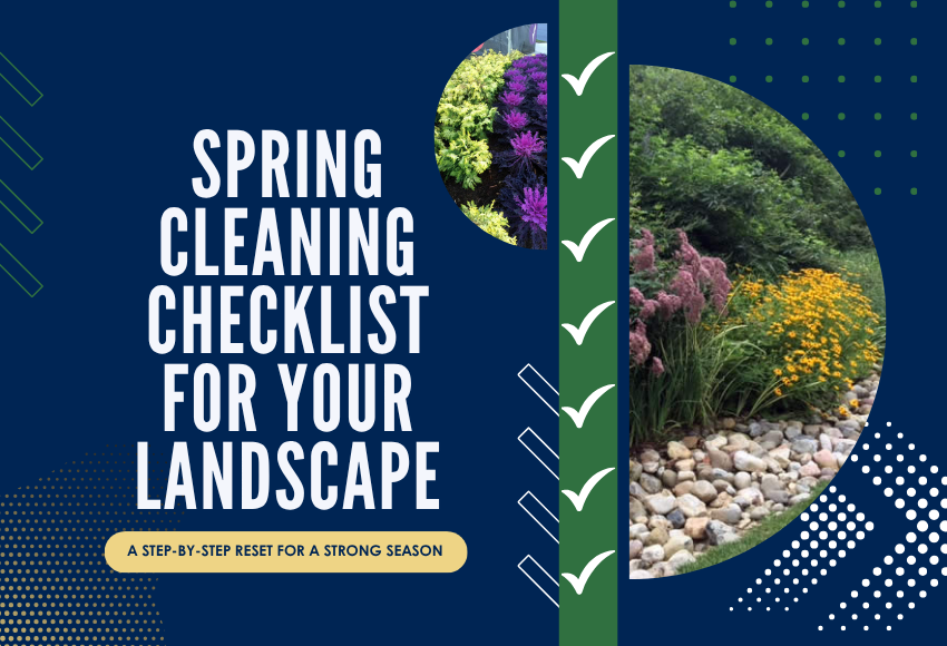 Spring Cleaning Checklist for Your Landscape