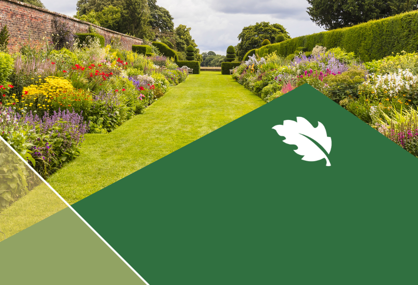 Five Landscape Upgrades That Protect – and Grow – Luxury Home Value 