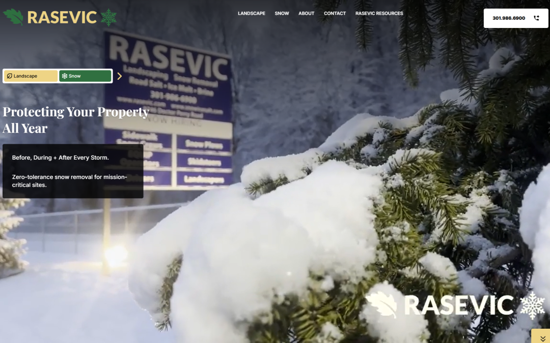 Welcome to the new RASEVIC home