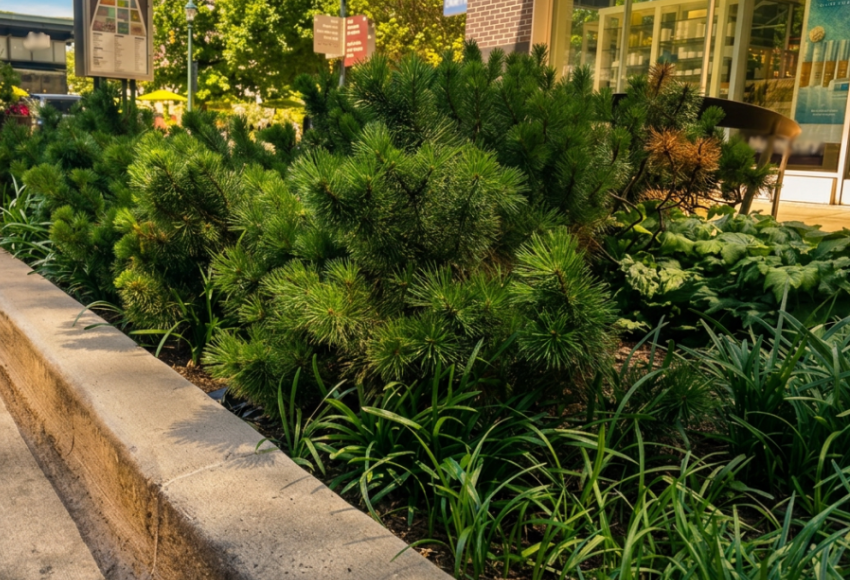 The Hidden Cost of “Fine”: Why Good-Looking Landscapes Still Decline
