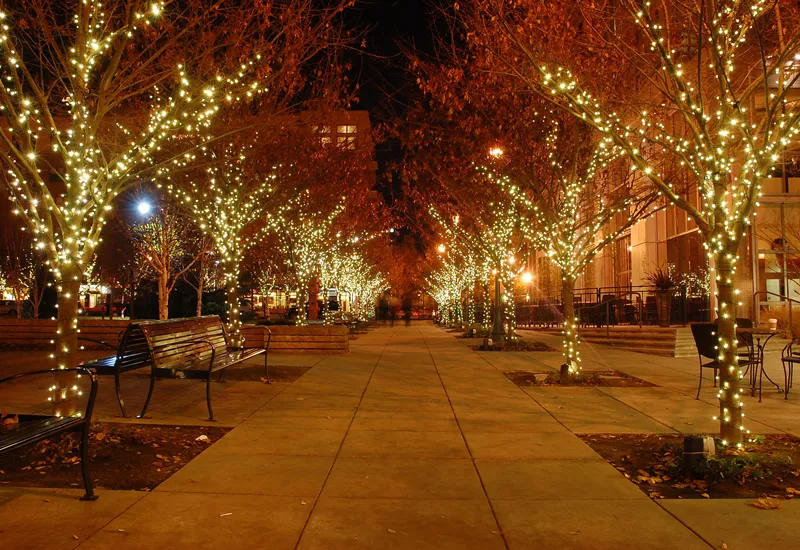 lights