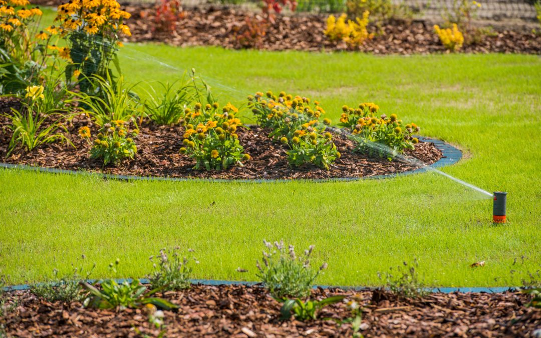 Aerating and Overseeding This Fall?  Your Irrigation System May Decide Whether It Works